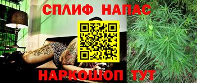 спиды Рязань